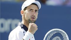 Potet v ad. Djokovi je ve finle US Open