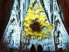 Projekci na chrám Sagrada Familia sledovaly stovky lidí. 