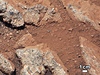 Curiosity nalo po sedmi týdnech na povrchu Marsu oblázky