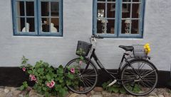 Dánsko jedině na kole. Půjčí vám ho za cenu piva
