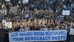 Demonstrace proti muení vz v Gruzii