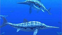 Ve Španělsku našli vědci zachovalou fosílii ichtyosaura 