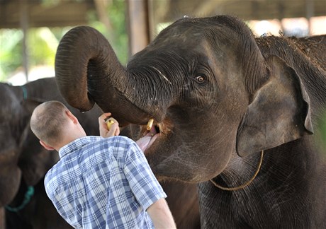 Sedmiletá slonice Janita v péči vrchního chovatele Jiřího Javůrka v sloním sirotčinci v Pinnawale.  