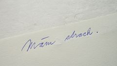 Michaela Thelenová, To se snadno �ekne, 2012