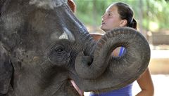 Praha získá dvě slonice ze Srí Lanky. Nepřiveze je CASA, ale Hercules