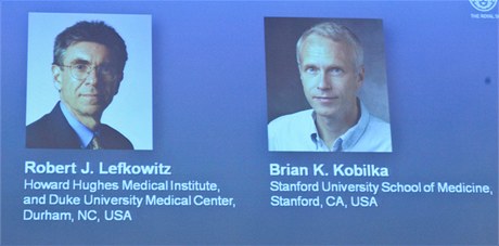 Robert Lefkowitz a Brian Kobilka jsou laureáty Nobelovy ceny za chemii