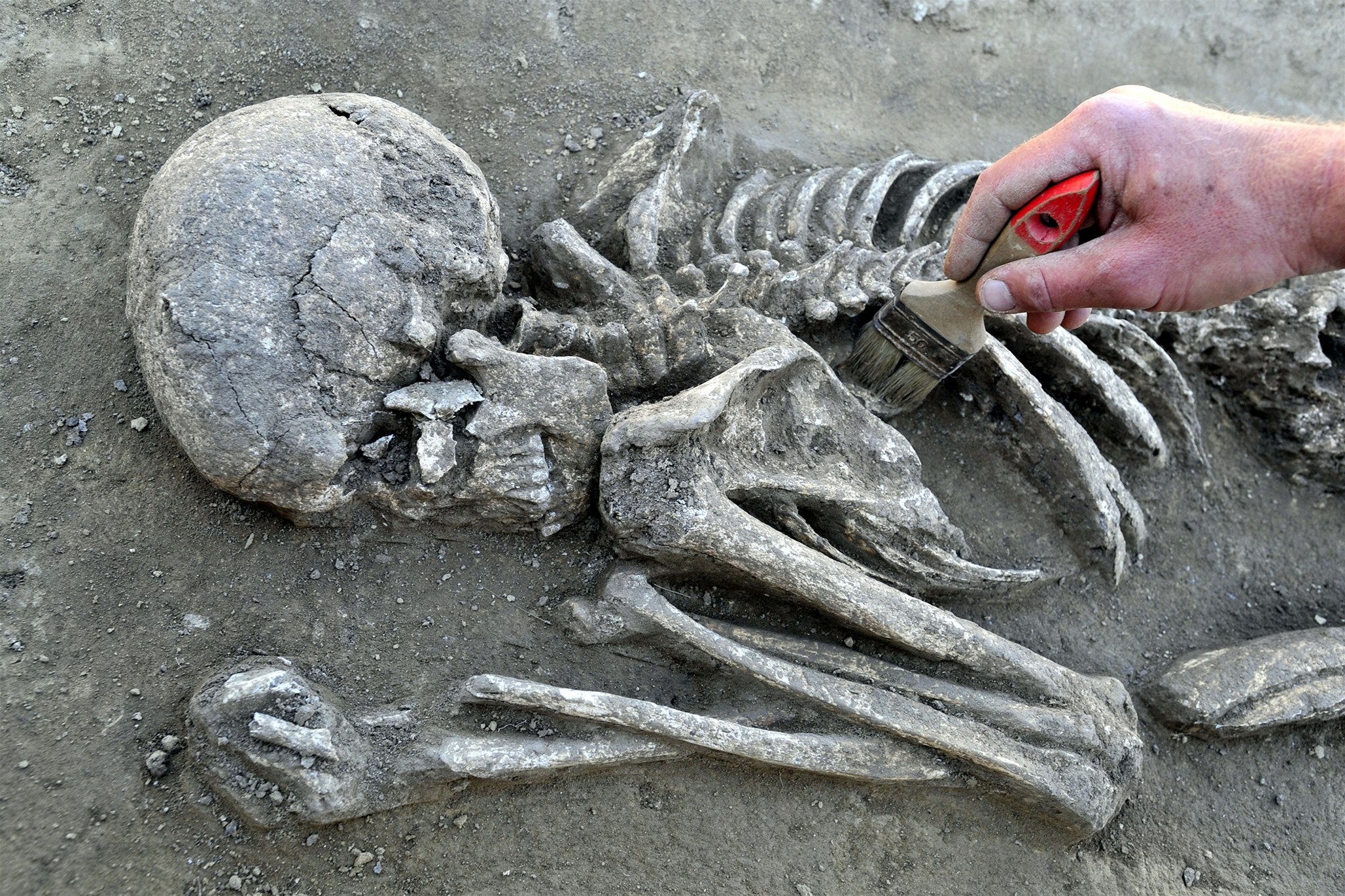 Archeolog p�i práci (Ilustra�ní foto)