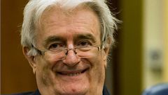 Bývalý politický vdce bosenských Srb Radovan Karadi ped Mezinárodním trestním tribunálem pro bývalou Jugoslávii v Haagu