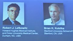 Robert Lefkowitz a Brian Kobilka jsou laureáty Nobelovy ceny za chemii
