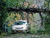 Spadané stromy v New Yorku. Kvli Sandy byly miliony lidí bez elektiny.