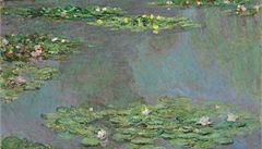 Monetův obraz Vodní lilie se vydražil za 43 milionů dolarů