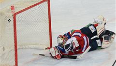 Lev Praha (Jakub tpánek)