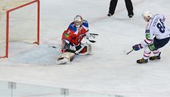 Lev Praha - Sibir Novosibirsk (Jakub tpánek)