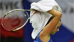 Petra Kvitová