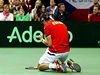Finále Davis Cupu Tomá Berdych - David Ferrer