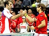 Radek tpánek a David Ferrer pi finále Davis Cupu.