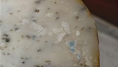 Nový seznam nebezpečných potravin: plesnivý sýr a moli v rýži