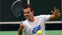 P�íprava na finále Davisova poháru �R - �pan�lsko. Tomá� Berdych na tréninku