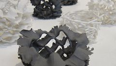 Nastrouhaný porcelán védky Hiiri