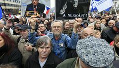 Demonstranti byli naštvaní na vládu. Na kritiku nebyli někteří z nich příliš zvědaví. | na serveru Lidovky.cz | aktuální zprávy