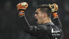 Trenér Miroslav Koubek