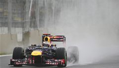 Velká cena Brazílie formule 1 - Sebastian Vettel