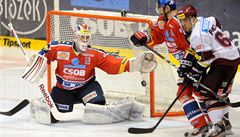 Radost hokejist� Plzn�