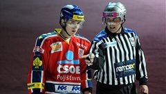 Radost hokejist� Plzn�