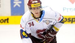 Radost hokejist� Plzn�