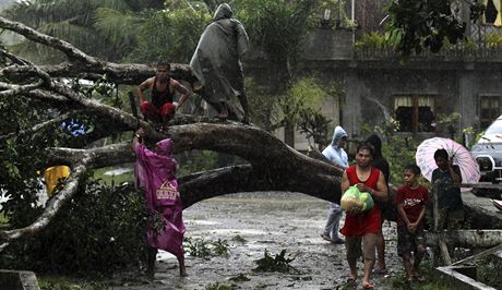 Tajfun Bopha, jiní Filipíny