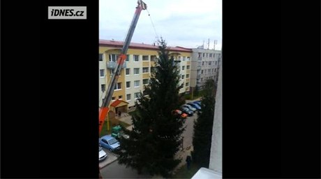 Vánoní strom v Uherském Hraditi
