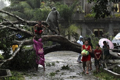 Tajfun Bopha, jiní Filipíny