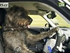 Pes za volantem