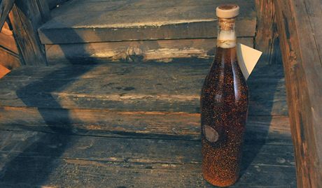 Pravdpodobn nejdraí pivo vyrobené v esku se draí v Ostrav a Hluín na Opavsku.