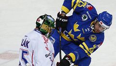 eský hokejový branká Alexander Salák a véd Viktor Stalberg