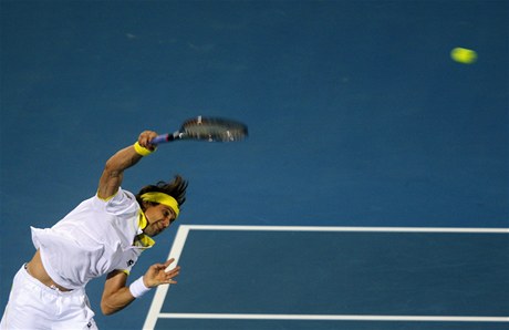 panlský tenista David Ferrer