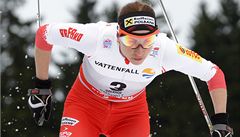 Polská bkyn na lyích Justyna Kowalczyková