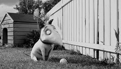 Z filmu Tima Burtona Frankenweenie