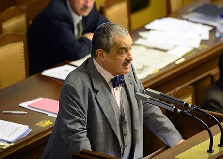 Ministr zahranií Karel Schwarzenberg na schzi Poslanecké snmovny.