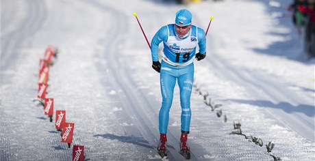 Luká Bauer