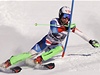 výcarský lya Carlo Janka
