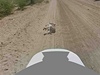 Mapovací auto se podle Googlu blíí k leícímu oslovi.