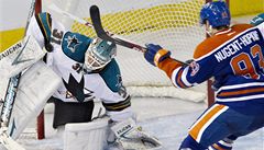 Nugent-Hopkins Niemiho nep�ekonal.