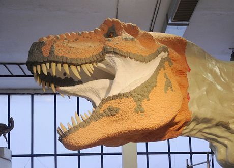 dinosaui v Plzni