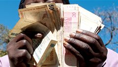 Mme na t poslednch 217 dolar, okoval ministr Zimbabwe