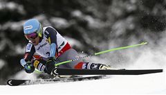 Americký ly�a� Ted Ligety