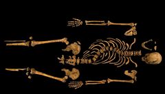 richard III. vykopávky
