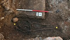 richard III. vykopávky