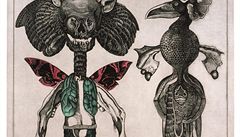 Jan �vankmajer: P�írodopis, 1973