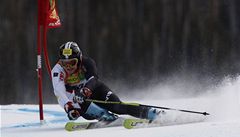 Lya Krzl se zotavuje ze zrann, na MS pojede pouze slalom